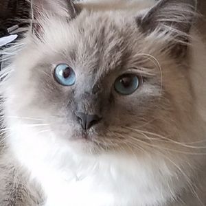 Meet your Posher, Lisa